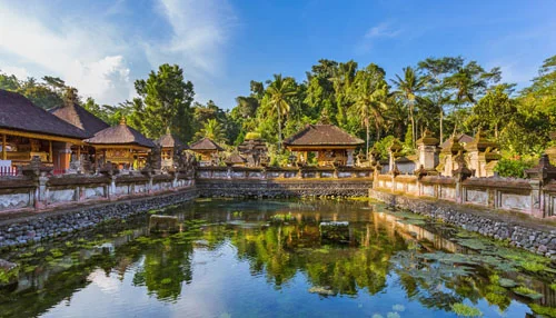 50 Days 500 Hour Yoga Teacher Training Course In Bali by Maa Shakti Yog Bali16.webp