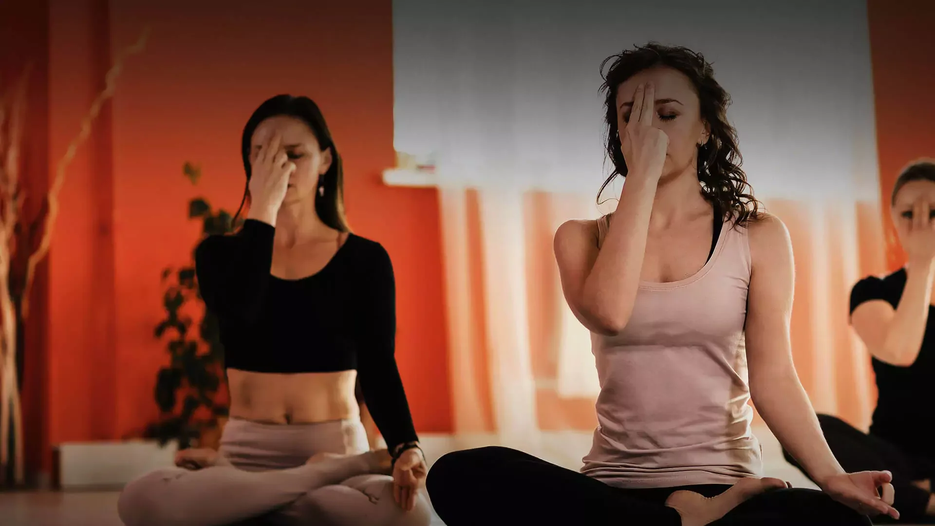 50 Days 500 Hour Yoga Teacher Training Course In Bali by Maa Shakti Yog Bali24.webp