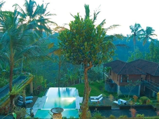 12 Day 100-Hour Yoga Teacher Training in Ubud Bali by Rishikesh Vinyasa Yoga School14.webp