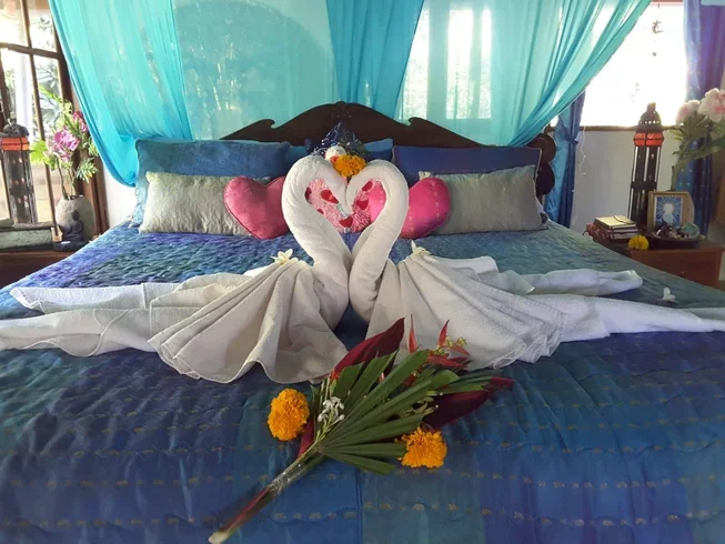 26 Days 300-Hour Advanced Yoga Teacher Training Course in Buleleng Bali by Sacred Paths Yoga18.webp