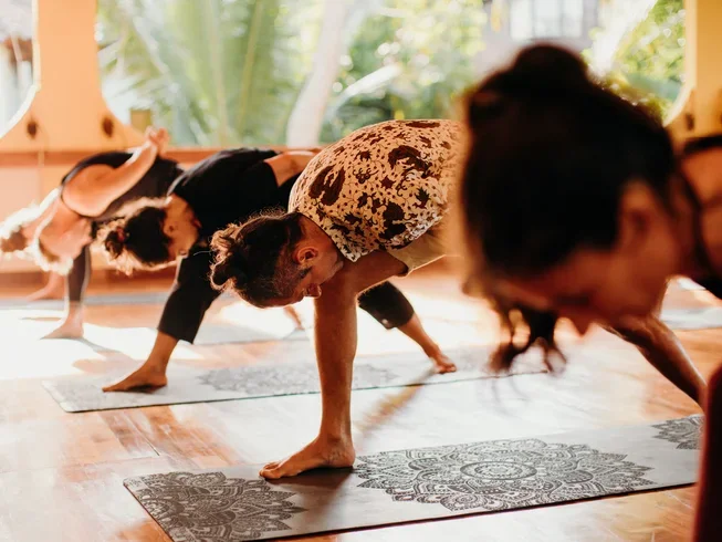 28 Day 200-Hour Meditation and Yoga Teacher Training Course in Ubud Bali by Samyama Mindfulness Meditation Center4.webp