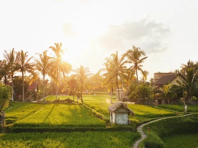 21 Day 200-Hour Personalized Yoga Teacher Training in Ubud Bali by Ubud Yoga House6.webp