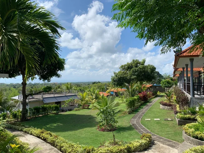7 Day 50 Hour Aerial Yoga Teacher Training in Uluwatu Bali by Ulu Yoga22.webp