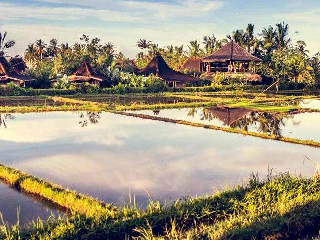 11 Day Luxurious 100-Hour Yoga Teacher Training in Ubud by Upaya Yoga Teacher Training10.webp