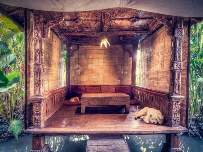 11 Day Luxurious 100-Hour Yoga Teacher Training in Ubud by Upaya Yoga Teacher Training6.webp