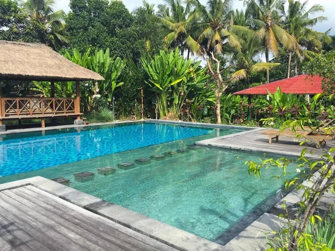 20 Day 200-Hour Yin Yoga Therapy Teacher Training in Bali by Yin Yoga Therapy Teacher Training15.webp