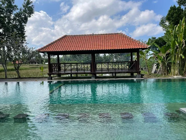 20 Day 200-Hour Yin Yoga Therapy Teacher Training in Bali by Yin Yoga Therapy Teacher Training9.webp