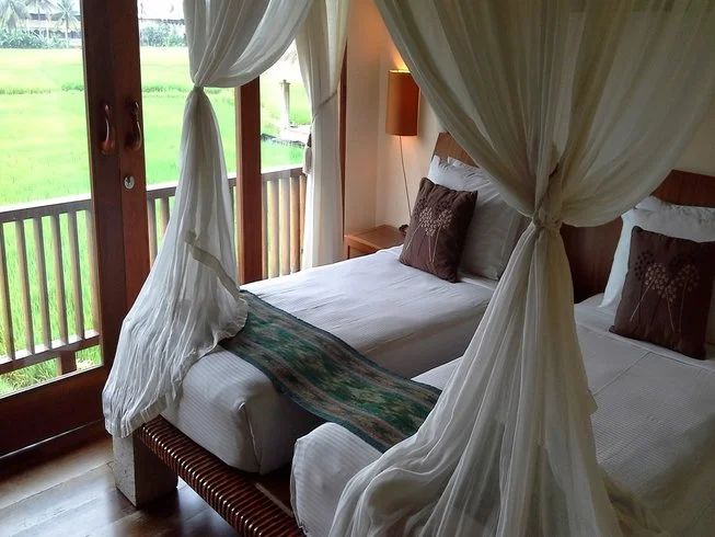 31 Day 300-Hour Yoga Teacher Training with The Yoga Arts in Bali by Yoga Arts7.webp