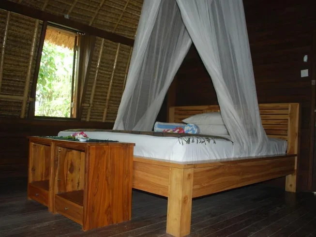 25 Day 200 Hour Aerial and Vinyasa Yoga Teacher Training in Bali by Yoga Dunia Lembongan13.webp