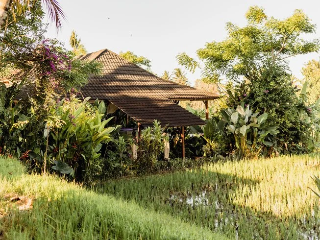 23 Day 200-Hour Vinyasa Yoga Teacher Training in Ubud Bali by Yogaunion3.webp