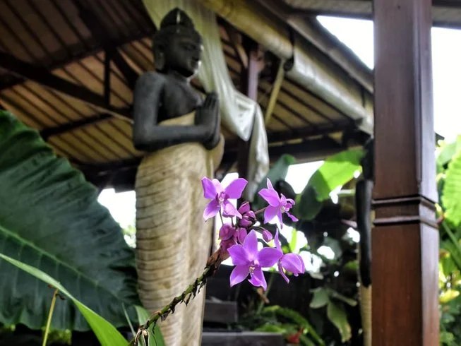 34 Day 300-Hour Yoga Training Teacher in Magical Ubud Bali by Yogaunion16.webp