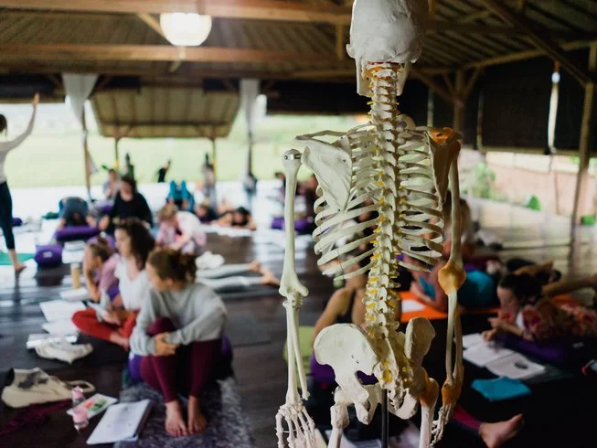 34 Day 300-Hour Yoga Training Teacher in Magical Ubud Bali by Yogaunion3.webp