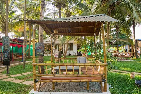 100 Hours Aerial & Yin Yoga Teacher Training Course by Kashish Yoga Goa, India2.webp
