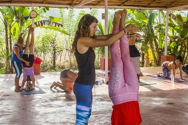 100 Hours Aerial & Yin Yoga Teacher Training Course by Kashish Yoga Goa, India3.webp