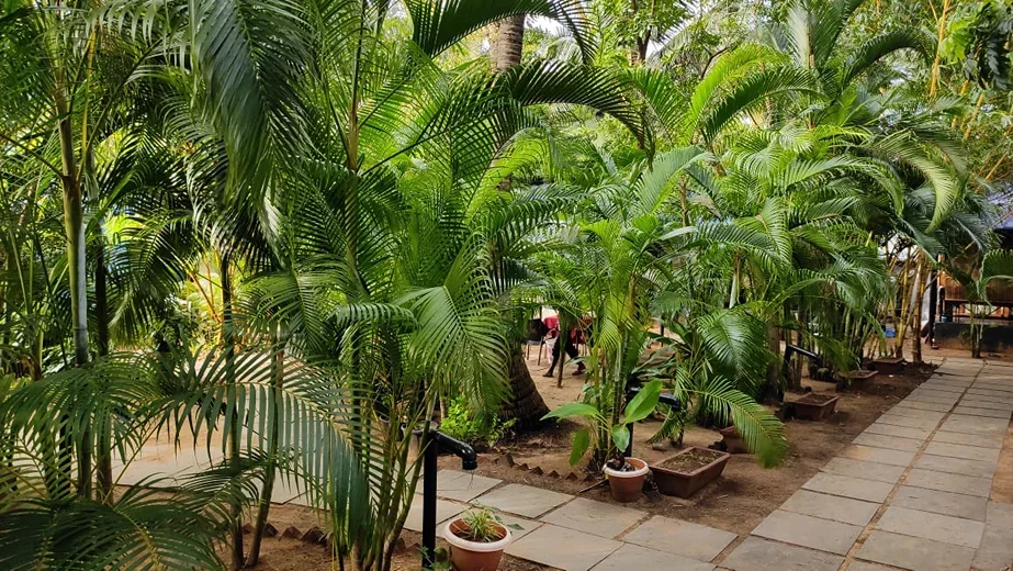 100 Hours Yoga Teacher Training Course by Shivoham Yoga School Goa, India12.webp