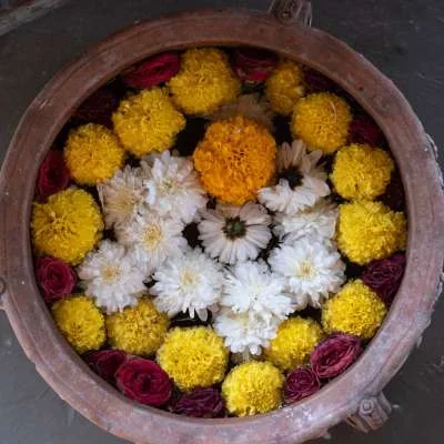 100 Hours - Sound & Yin Healing Teacher Training Course by Devarya Wellness Goa, India6.webp