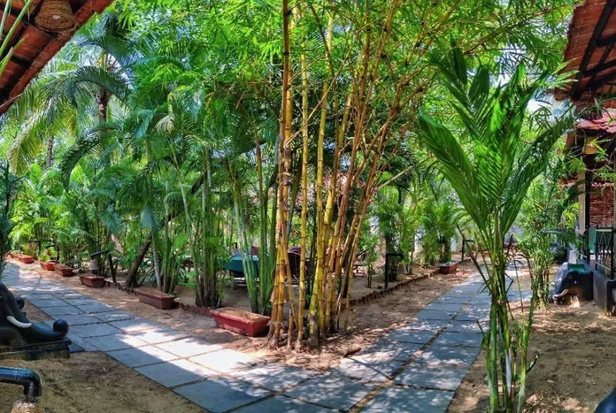 100 Hours Yoga Teacher Training Course by Peace Yoga Retreat Goa, India2.webp