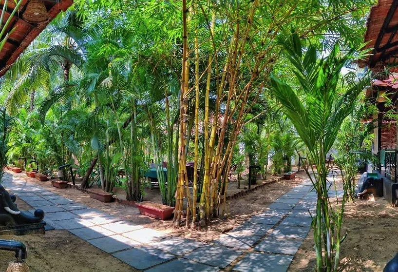 100 Hours Yoga Teacher Training Course by Peace Yoga Retreat Goa, India3.webp