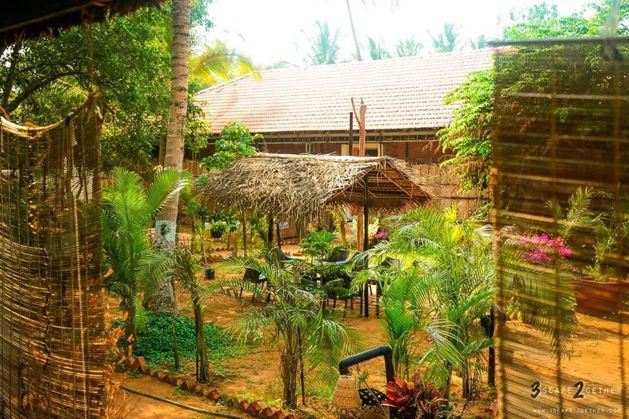 100 Hours Yoga Teacher Training Course by Peace Yoga Retreat Goa, India5.webp
