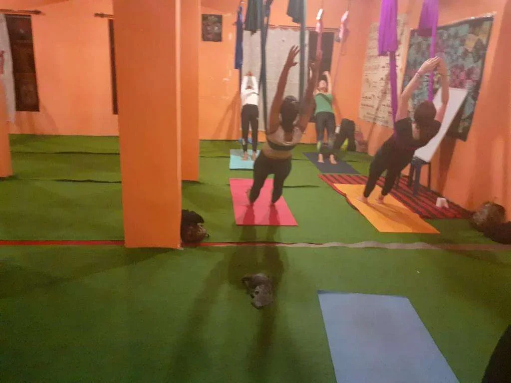 100 Hours Yoga Teacher Training Course by Yoga With Raj Goa, India17.webp