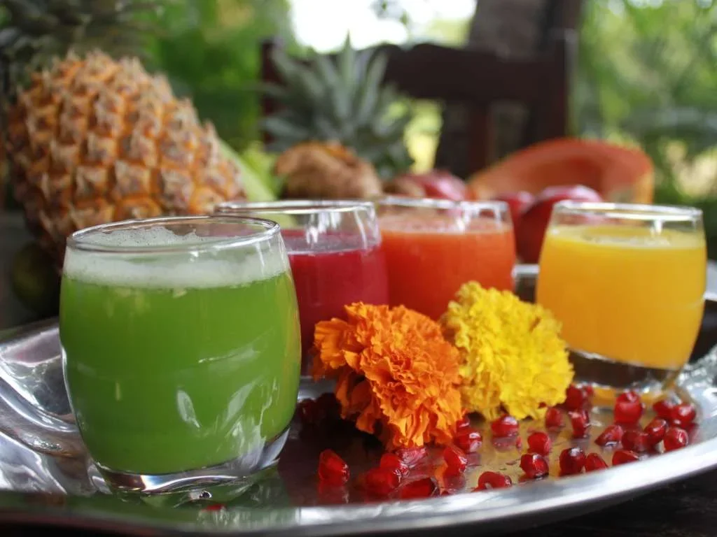 200 Hours Yoga Teacher Training Course by Ashiyana Goa, India12.webp
