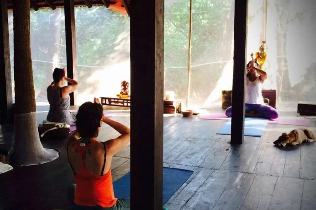 200 Hours Yoga Teacher Training Course by Ashiyana Goa, India16.webp