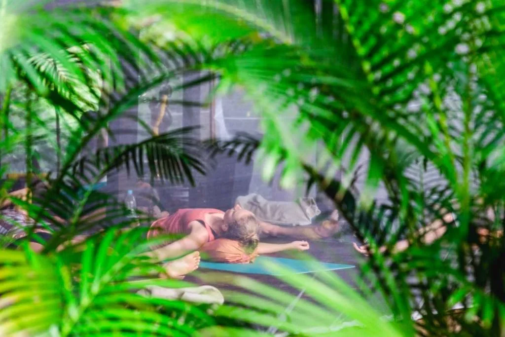 200 Hours Yoga Teacher Training Course by Ashiyana Goa, India7.webp