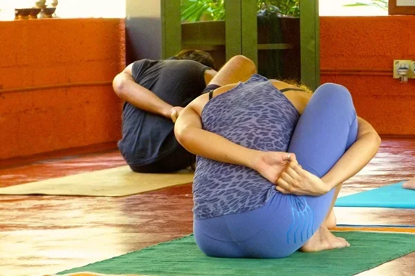 200 Hours Multi Style Yoga Teacher Training Course by Skanda Ayur Yoga Goa, India15.webp