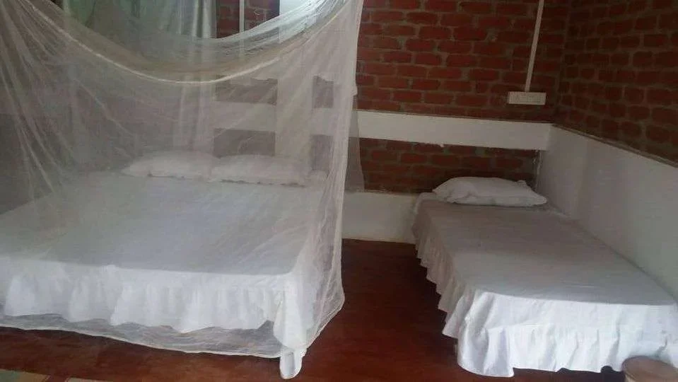 200 Hours Yoga Teacher Training Course by Mantra Yoga Goa, India9.webp