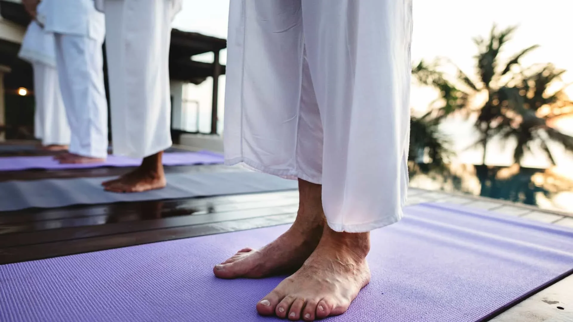 200 Hours Hatha Yoga Teacher Training Course by Sohyaa School Of Holistic Yoga And Ayurveda Goa, India2.webp
