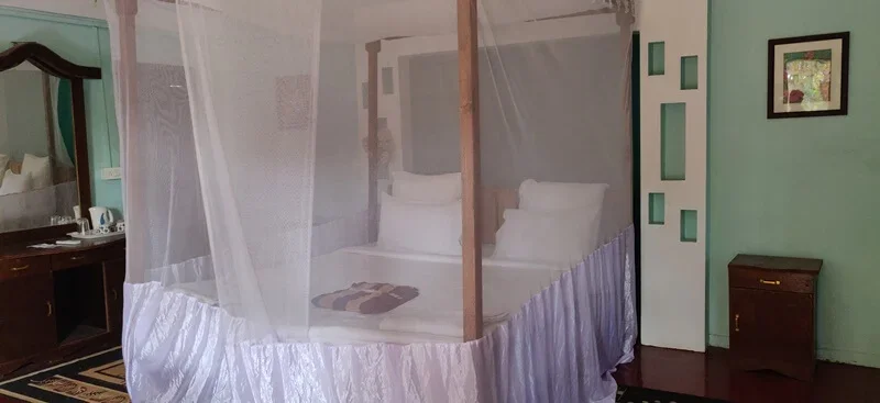 200 Hours Yoga Teacher Training Course by Upasana Yoga Goa, India4.webp