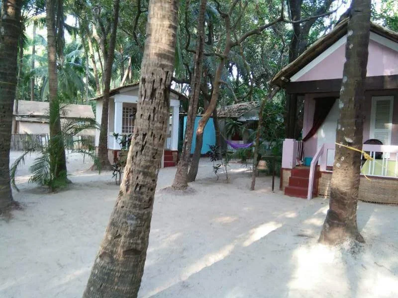 200 Hours Yoga Teacher Training Course by Upasana Yoga Goa, India5.webp