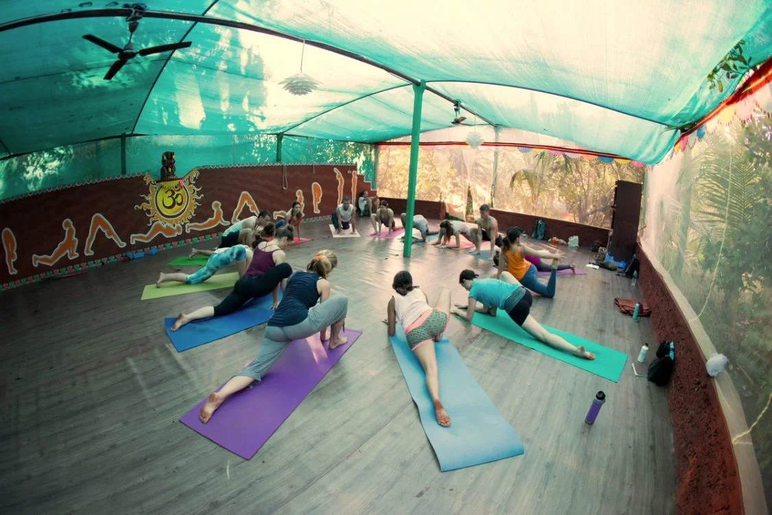 200 Hours Yoga Teacher Training Course by Vedic Valley Goa, India15.webp