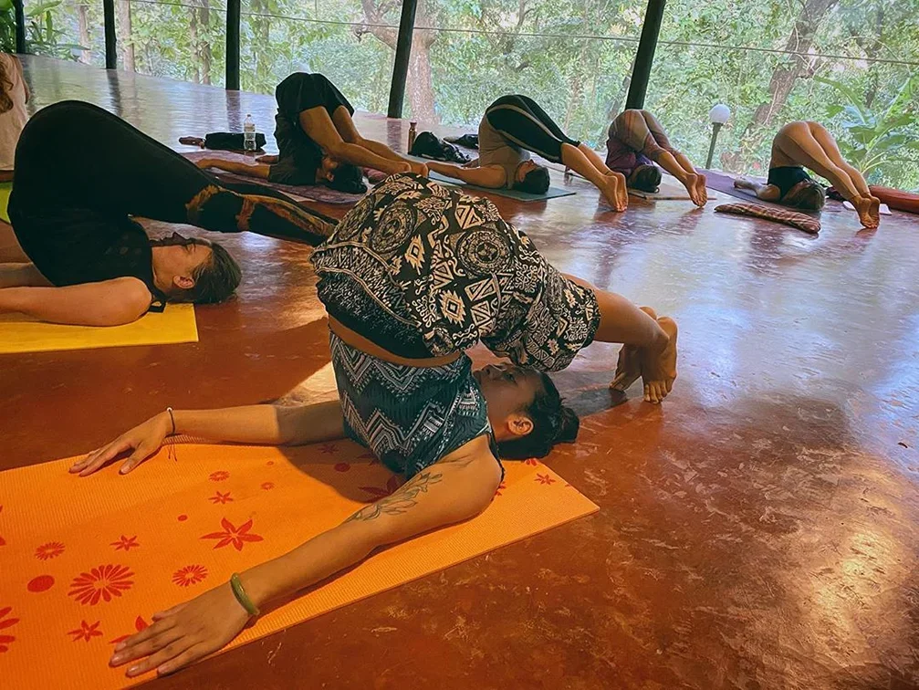 300 Hours Yoga Teacher Training Course by SWAN Yoga Retreat Goa, India1.webp