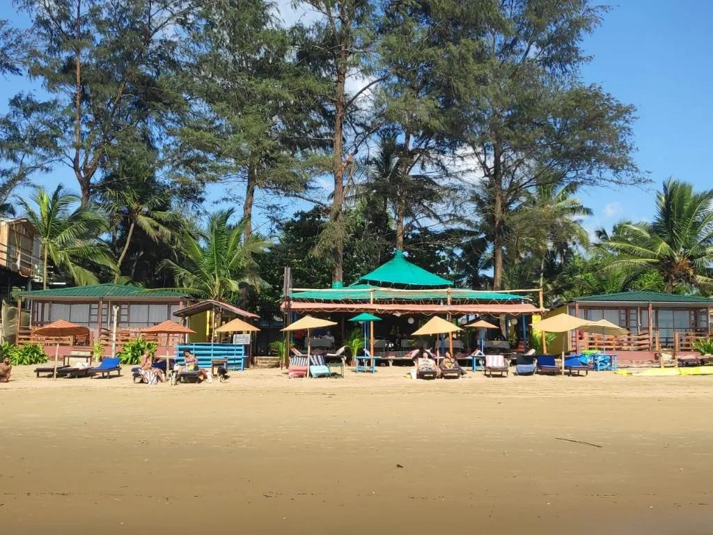 300 Hours Vinyasa & Yin Yoga Teacher Training Course by Trimurti Yoga Goa, India1.webp
