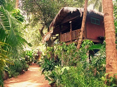 300 Hours Yoga Teacher Training Course  by Yogalife Goa, India2.webp