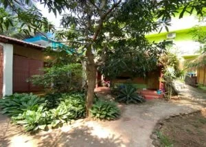 300 Hours Yoga Teacher Training Course  by Upaya Yoga Goa, India13.webp