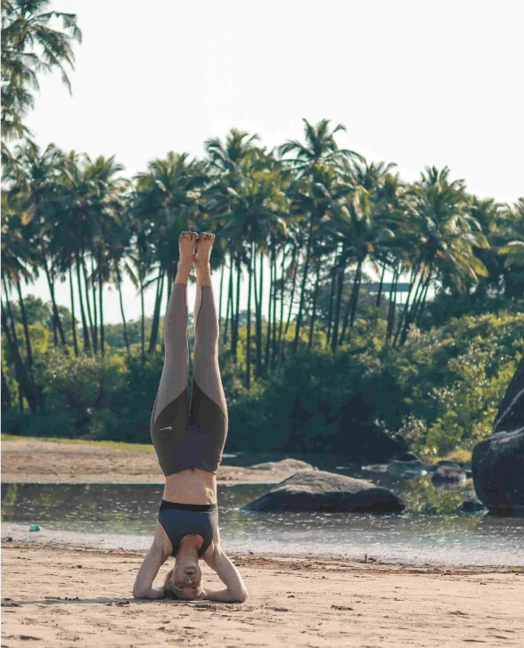 300 Hours Yoga Teacher Training Course  by Tapas Yoga India Canacona Goa, India2.webp