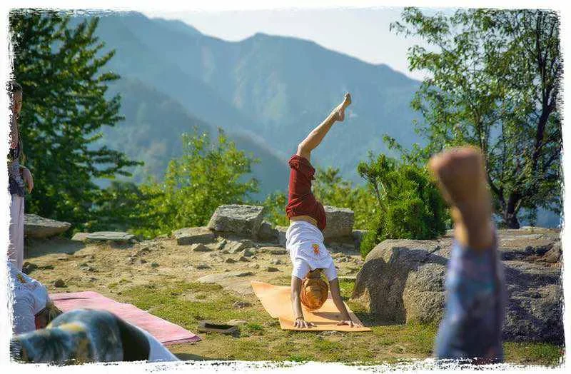 500 Hours Yoga Teacher Training Course by Shree Hari Yoga School Goa, India11.webp