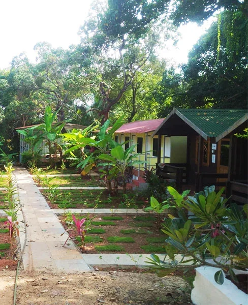 5 Days Blissful Yoga Retreat  by Preksha Yoga Goa, India9.webp