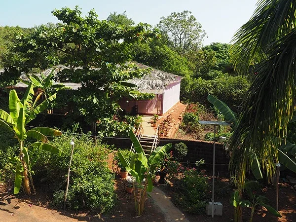 8 Day Yoga Retreat by Himalaya Yoga Valley Goa, India2.webp