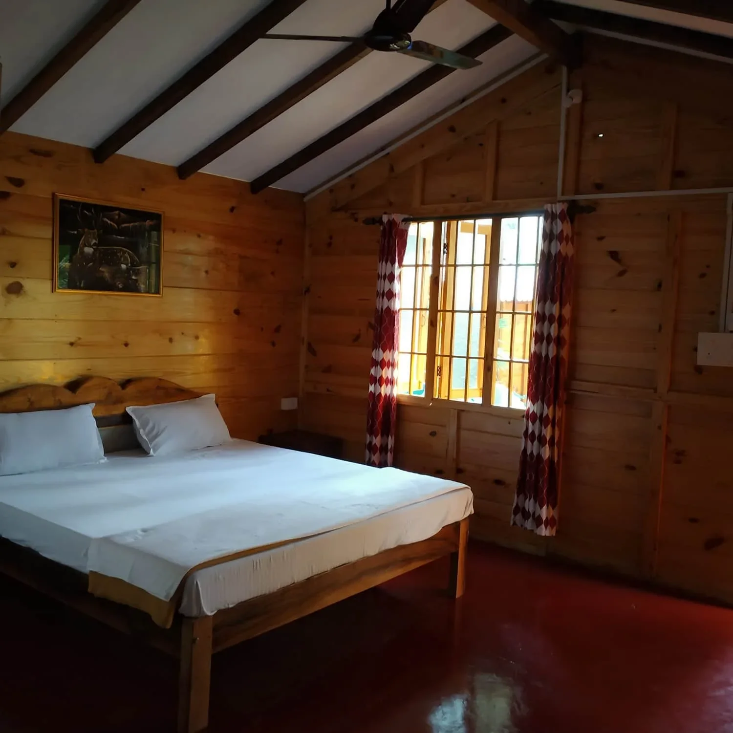 7 Days Yoga Retreat by Ruh yoga Goa, India2.webp