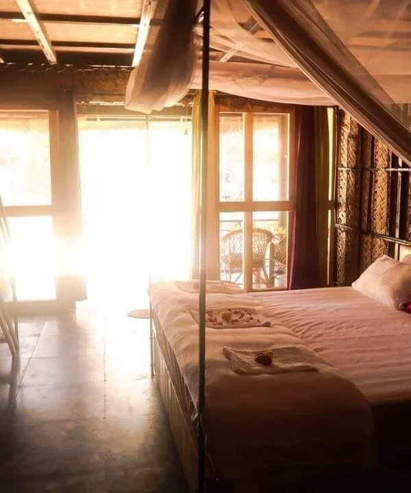 7 Days Yoga Retreat with a Ayurveda Massage by Earth Yoga Village Goa, India3.webp
