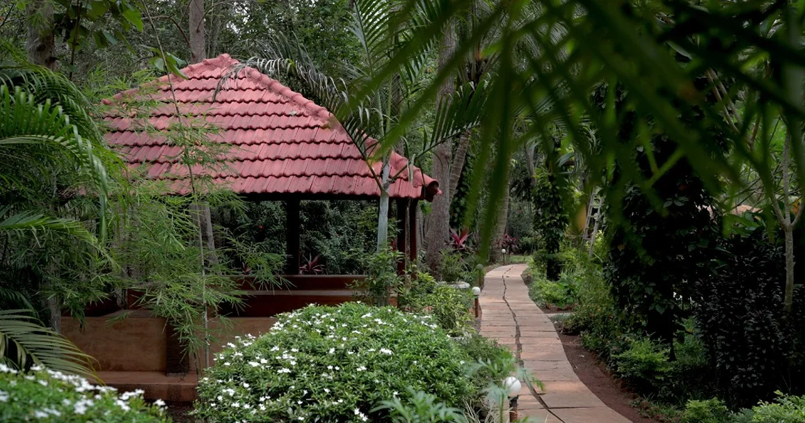 6 Days A journeyto the self Retreat by Banyan Tree Yoga Goa, India10.webp