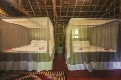 8 Day Yoga Retreat by Palm Trees Yoga Resort Goa, India2.webp