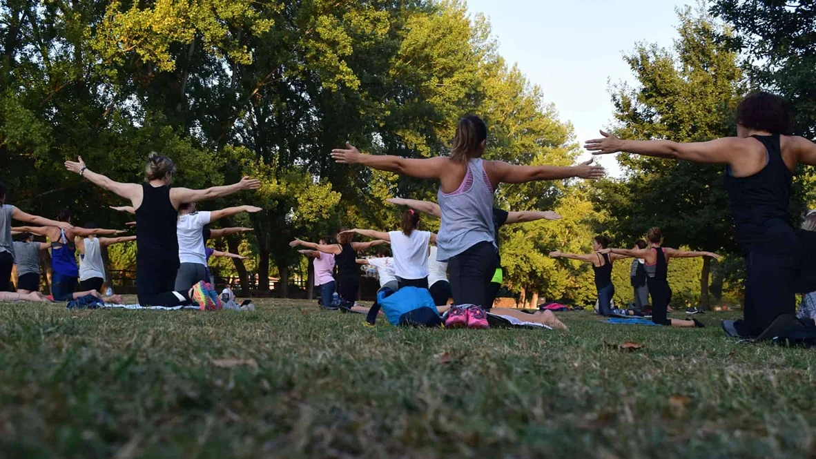 7 Days Yoga & Ayurveda Retreat by Sohyaa School Of Holistic Yoga And Ayurveda Goa, India1.webp