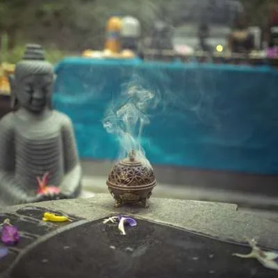 7 Days Wellness Retreat by Ayurvedic Natural Health Center Goa, India10.webp