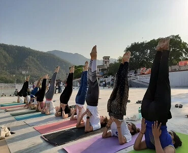 100 Hrs Yoga Teacher Training Course in Rishikesh By Om Shanti Om Yoga School1.webp