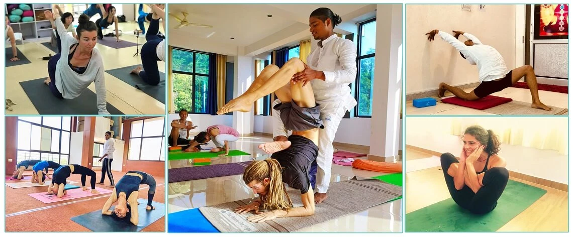 100 Hrs Multi-style Yoga Teacher Training Course in Rishikesh By Rishikesh Divine Yoga School1.webp