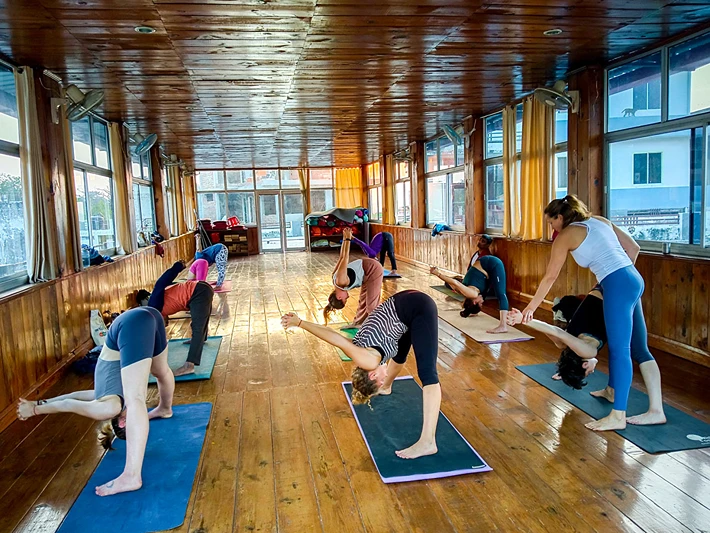 200 Hrs Yoga Teacher Training Course in Rishikesh By Rishikul Yogshala Rishikesh1.webp